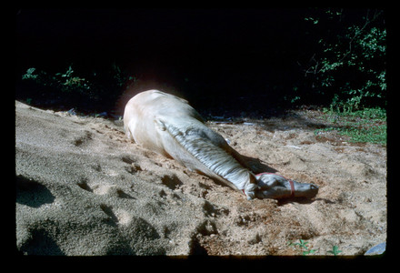 Slide921.jpg